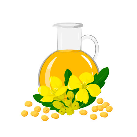 Mustard oil on a white background. cartoon design.のイラスト素材