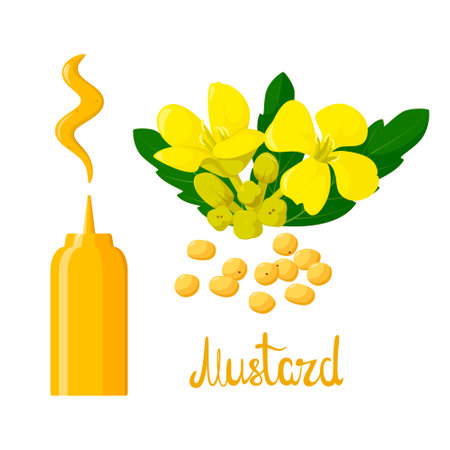 Mustard on a white background. Spices. cartoon design.のイラスト素材