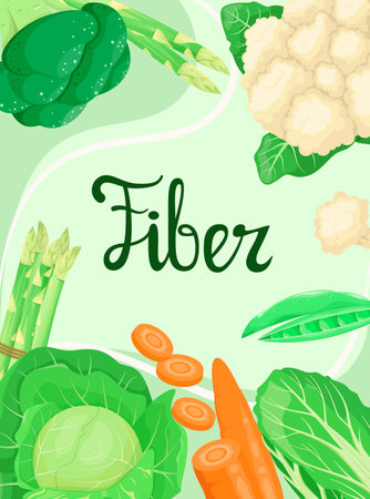 Poster with fibre. Healthy vegetables. nutrition.のイラスト素材