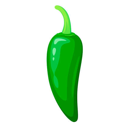 A whole jalapeno on a white background. cartoon design.のイラスト素材