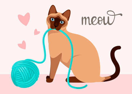Funny Siamese cat. postcard. cartoon design.のイラスト素材