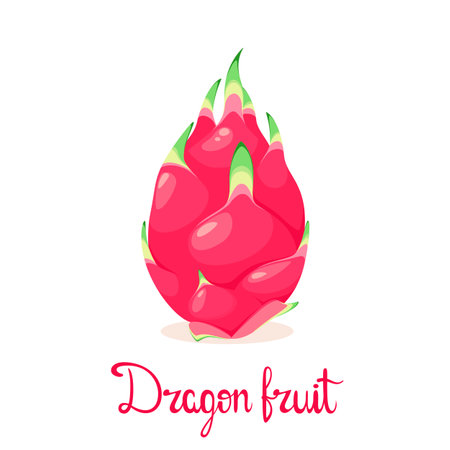 Ripe dragon fruit on a white background. cartoon design.のイラスト素材