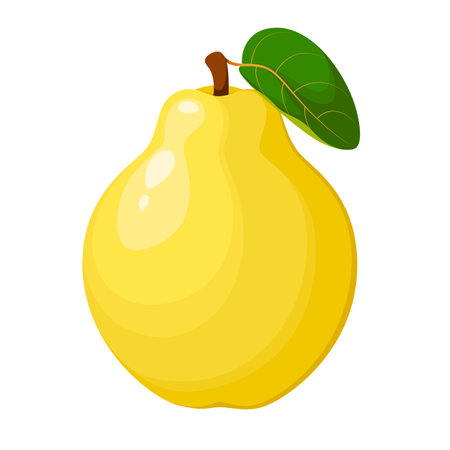 Pear on a white background. cartoon design.のイラスト素材