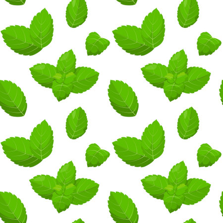 Seamless pattern with mint leaves.Herbs.のイラスト素材
