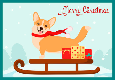 Funny corgi on a sled with gifts. christmas card. cartoon design.のイラスト素材
