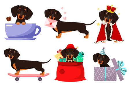 A set of funny dachshunds on a white background. cartoon design.のイラスト素材