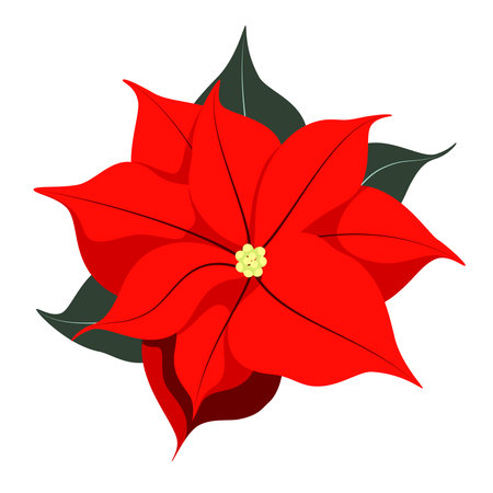 Bright poinsettia flower on a white background. cartoon design.のイラスト素材