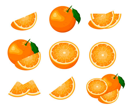 A set of ripe oranges on a white background. cartoon design. vector illustration.のイラスト素材