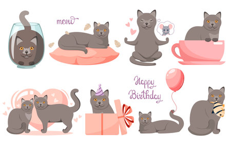 A set of funny British cats on a white background. cartoon design.のイラスト素材
