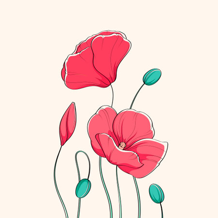 Poppies. Beautiful summer flowers for decoration.のイラスト素材