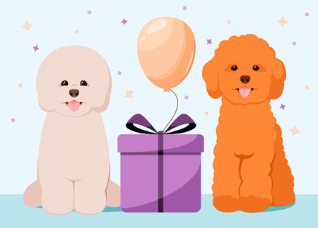 A greeting card with cute strangers. Poodle and bichon with a gift.のイラスト素材