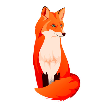 A bright fox on a white background. Cartoon style.のイラスト素材