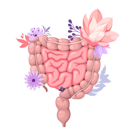 Human intestines decorated with flowers. Digestive health. Vector illustration on a white background.のイラスト素材