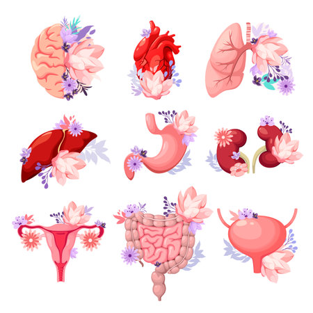 A set of human organs decorated with flowers. Vector illustration.のイラスト素材