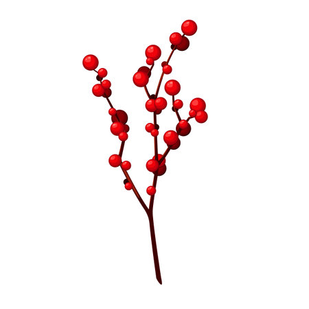 A twig with red berries on a white background. Winter decor. Vector illustration.のイラスト素材