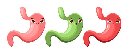 Human stomachs on a white background. Nausea, heartburn, a healthy stomach. Organs. Vector illustration.のイラスト素材