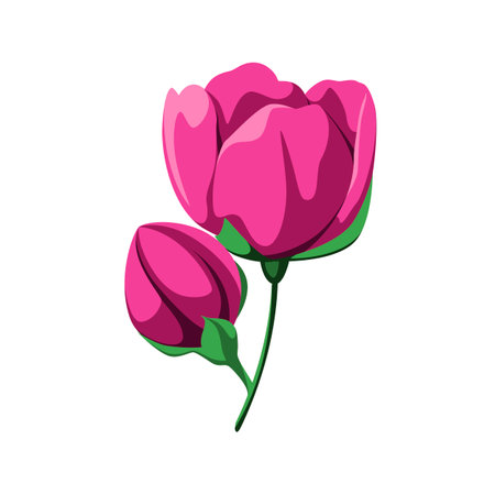 A twig with bright pink flowers on a white background. Flowers for decoration. Vector illustration.のイラスト素材