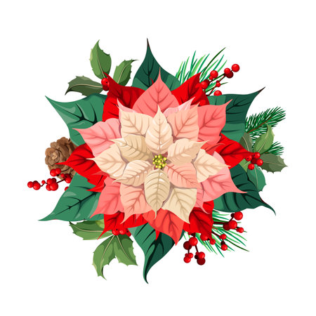 A bright poinsettia with leaves, berries and cones on a white background. Christmas decor. Vector illustration.のイラスト素材
