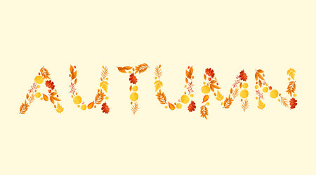 Autumn twigs and leaves. Beautiful inscription. Vector illustration.のイラスト素材