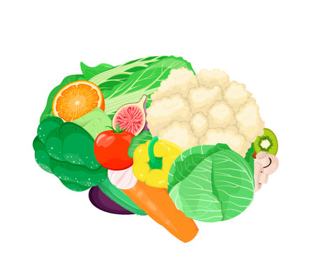 The human brain is made of vegetables and fruits. Proper nutrition. A healthy lifestyle.のイラスト素材