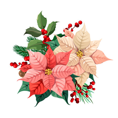 Bouquet of poinsettias with leaves, berries and cones on a white background. Christmas decor. Vector illustration.のイラスト素材