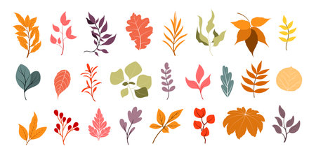A set of simple twigs and leaves in autumn colors on a white background. Decorative elements. Vector.のイラスト素材