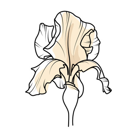 An iris flower on a white background. An object for creating a design. Vector illustration.のイラスト素材