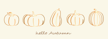 A set of beautiful minimalist golden pumpkins. Vector illustration.のイラスト素材