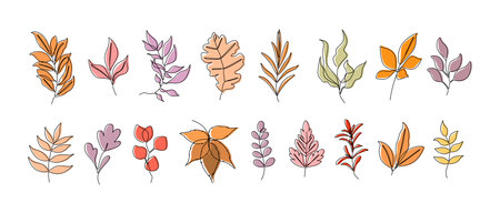 Set of twigs and leaves on a white background. Line Art. Vector.のイラスト素材