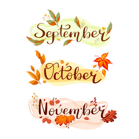 Autumn months. Lettering. September, October, and November. Vector.のイラスト素材