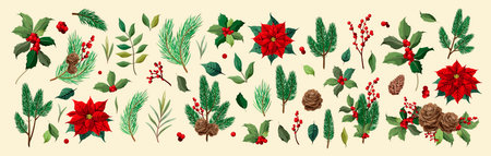 A large set of Christmas plant elements for decor. Vector.のイラスト素材