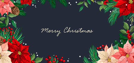 Merry Christmas. Beautiful poster with poinsettias and pine branches. Holiday poster Vector.のイラスト素材