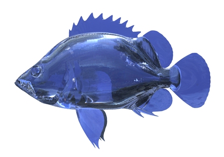 3d Illustration blue glass fish isolated on white backgroundの写真素材