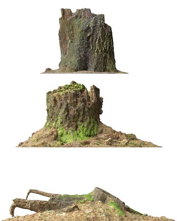 Stump dead tree isolated on white 3d illustrationの写真素材
