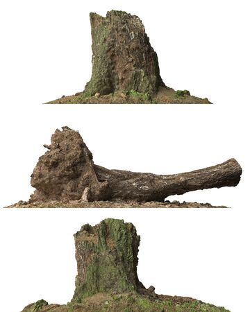 3D illustration stump dead tree isolated on whiteの写真素材