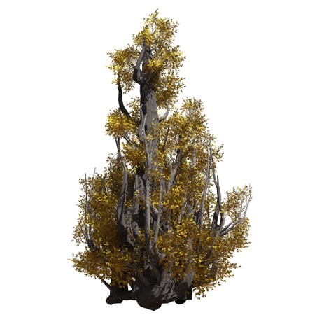 Fantasy tree 3d illustration isolated on white backgroundの写真素材
