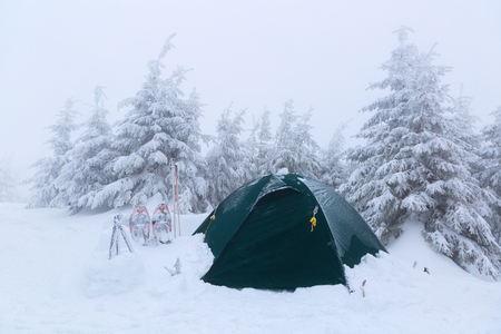 Near the tent, covered with snow, are hiking sticks, snowshoes and fluffy, covered with snow, fir-trees on a foggy winter day.の写真素材