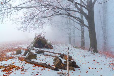 A hut made from leaves and branches stands in a snow covered meadow with trees next to the bench on a misty winter day.の写真素材