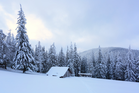 High on the mountains in the forest covered with snow there is lonely old wooden hut standing with fence on the lawn. の写真素材