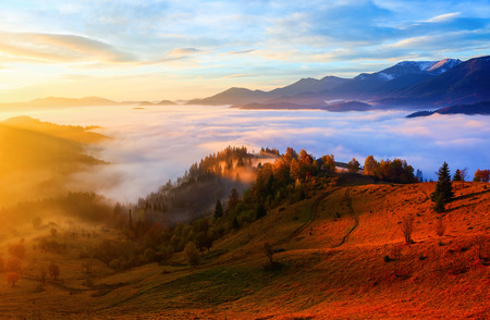Thick fog, like milk, covered the valley, behind which rise mountain hills, the tops of which are powdered with snow, on which fall warm rays of the sun.の写真素材