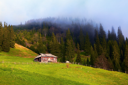 The old fenced off hut stands on a mountain meadow, behind which stands the spruce forest, from which thick fog raises straight up in the sky.の写真素材
