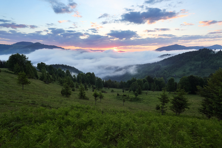 Scenery of the sunrise at the high mountains. Dense fog with beautiful light. A place to relax in the Carpathian Park. Magic autumn landscape. の写真素材