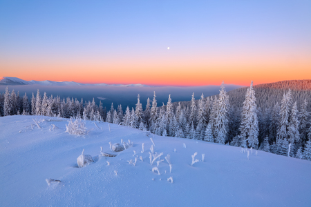 From the lawn, covered with snow, a panoramic view of the covered with frost trees, fog, tall, steep mountains, an interesting sunrise with a pink sky. Good winter day.の写真素材