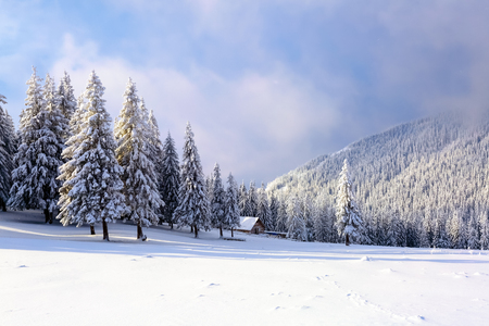 High on the mountains in the forest covered with snow there is lonely old wooden hut standing with fence on the lawn. Frosty day, gorgeous wintry scene.の写真素材