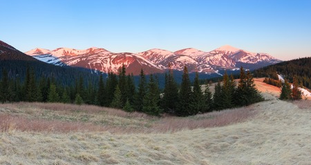 Panorama with mountains. The top of the hills covered with snow. The lawn with dried grass. Magic forest. Sunrise. Spring landscape. Location place Carpathians, Ukraine, Europe. Natural Colors.の写真素材