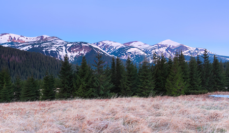 Panoramas with high mountains, the tops of which are covered with snow, forests, a lawn with a dried grass. Tourist resting place, The Carpathians, Chornohora mountain range.の写真素材