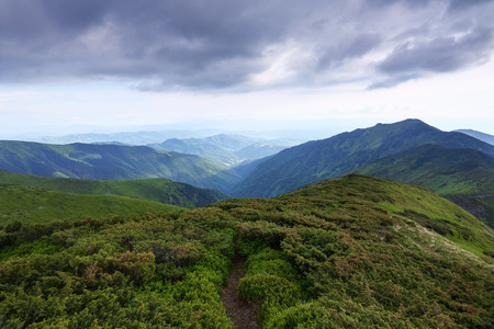 The nice view to the landscape of high mountains in the sunny day is opened from the green valley covered with bushes and pathway. Location the Carpathian Mountains, Marmarosy, Ukraine.の写真素材