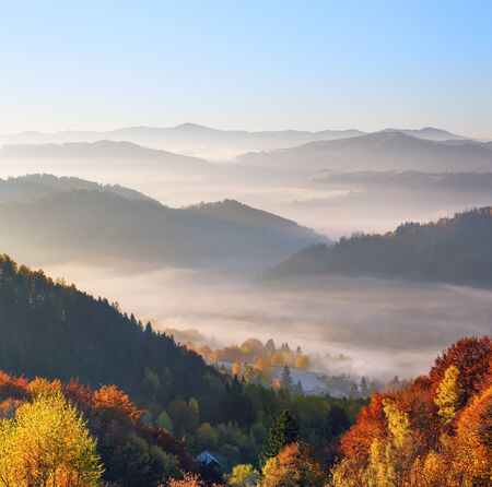Majestic autumn rural scenery. Landscape with beautiful mountains, fields and forests covered with morning fog. There are trees on the lawn full of orange leaves. Picturesque resort Carpathian, Europaの写真素材