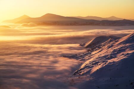 Beautiful sunset shine enlightens the picturesque landscapes with fair trees covered with snow and high mountains. Frosty foggy day, gorgeous wintry scene. Location place Carpathian national park.の写真素材
