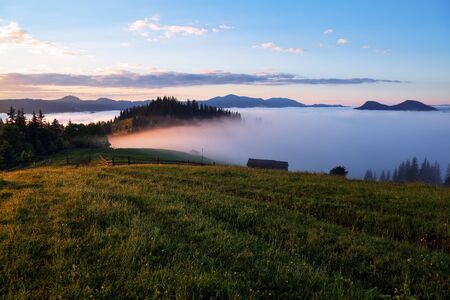 Mountain landscape. Beautiful sunset. Dense fog with nice soft light. On the lawn the grass and flowers in dew. Wooden fence and tall spruces. Location place Carpathian national park, Ukraine, Europe.の写真素材
